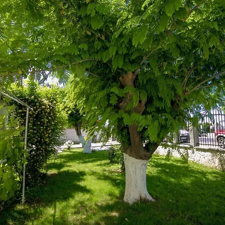 Casa Iordachescu