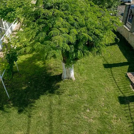 게스트하우스 Casa Iordachescu Două Mai