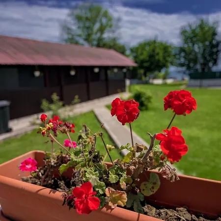 Casa Iordachescu Guest house